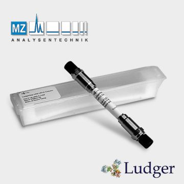 LudgerSep N1 amide Guard Column 4.6 x 10 mm